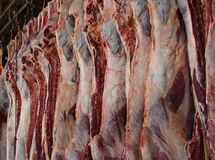 گوشت گران است، مردم نمی‌خرند/ واردات گوشت از استرالیا 10 درصد افزایش یافت/گرانی دلار قیمت گوشت برزیلی را بالا برد