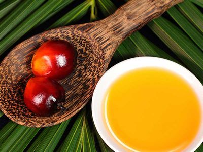 واردات روغن پالم 47 درصد رشد کرد/ فقط در 5 ماه اول امسال 170 هزار تن روغن پالم 200 لیتری وارد شد!+ جدول