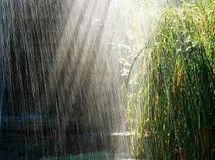 باران به نیمه غربی و شمالی کشور رسید/ افت شدید دما در بیشتر مناطق