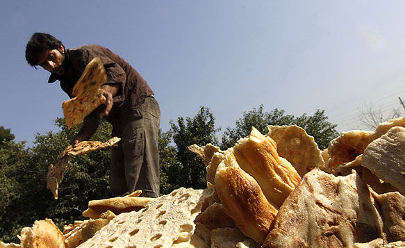 ضایعات سالانه کشور معادل غذای 15 میلیون نفر/ بخش کشاورزی تحت فشاری نابجا است