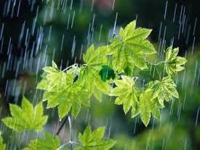 بارش باران و برف در 5 نقطه کشور/ آسمان تهران بارانی می‌شود