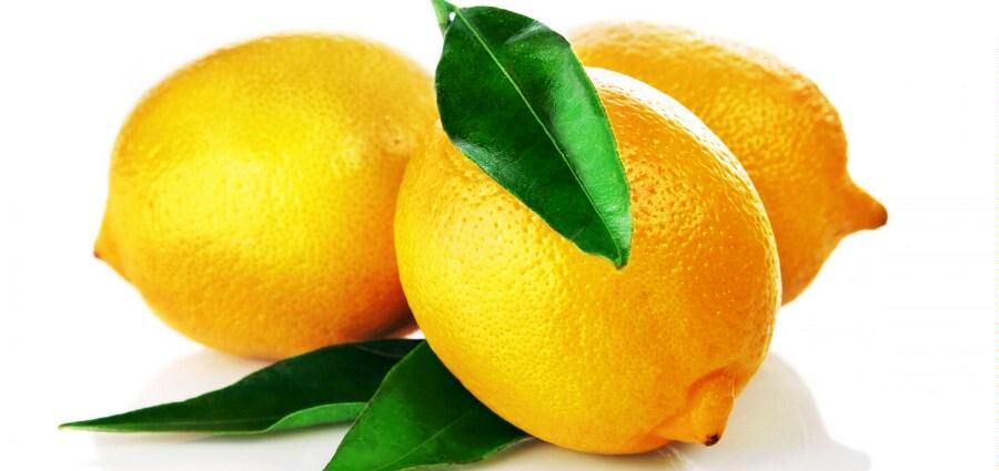 بیماری جاروک چندین هزار هکتار از لیموترش‌های جنوب کشور را نابود کرد