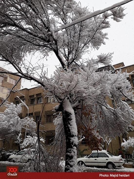 بارش باران در برخی مناطق شدت می‌گیرد/بارش باران و برف در پایتخت