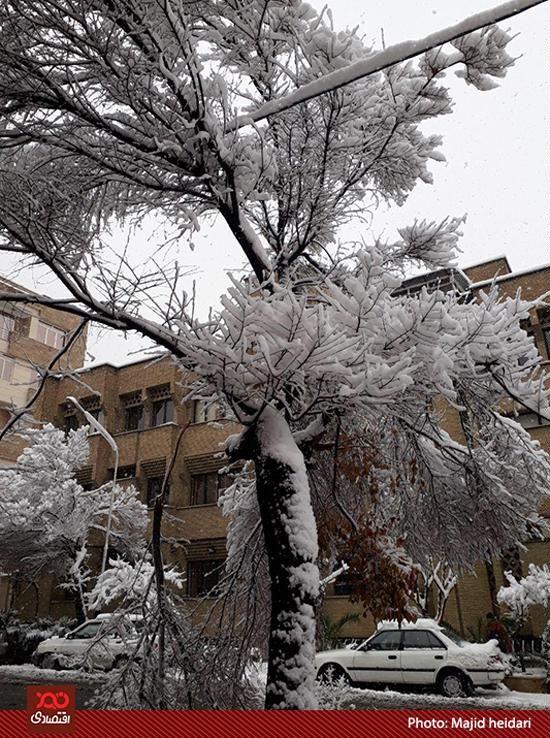 بارش باران در برخی مناطق شدت می‌گیرد/بارش باران و برف در پایتخت