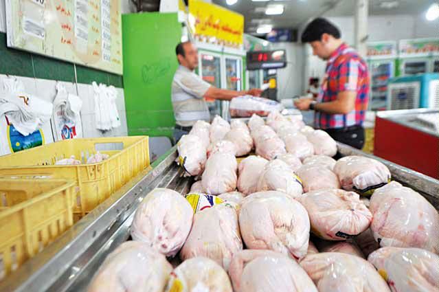 احتمال افزایش قیمت مرغ از 20 اسفند ماه تقویت شد