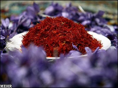 دولت عزم جدی برای جلوگیری از قاچاق پیاز ندارد/زعفران گران شد