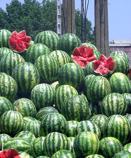 180 میلیون دلار خربزه و هندوانه صادر کردیم، در ازایش 77 میلیارد لیتر آب هدر دادیم، می‌صرفد؟