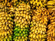 موز کیلویی ۴۵ هزار تومان