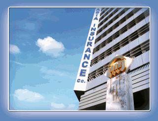 افزایش سرمایه بزرگ ترین بیمه خصوصی