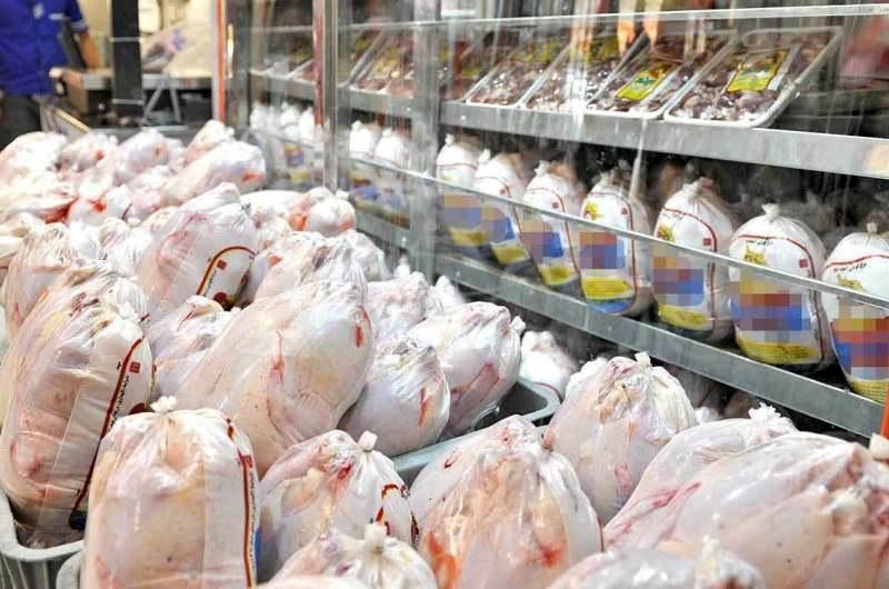 واحدهای مرغ مادر جوجهها را قاچاق کردند