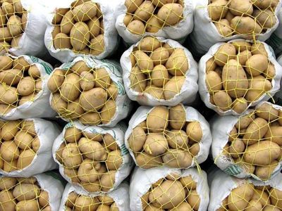 آبروداری سیب‌زمینی برای دولت روحانی با گرانی ۱۴۹ درصدی