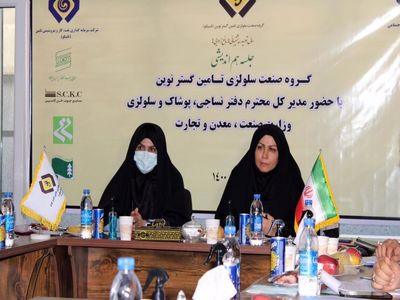 بازدید مدیرکل دفتر نساجی، پوشاک و سلولزی وزارت صمت از هلدینگ سلولزی شستا