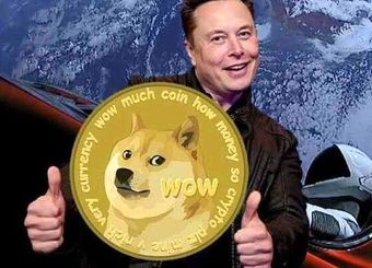 دوج کوین توانایی شکست دادن بیتکوین و اتریوم را دارد!