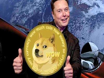دوج کوین توانایی شکست دادن بیتکوین و اتریوم را دارد!