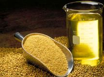 واردات ۶۶۷ هزار تن سویای تراریخته در بهار ۱۴۰۰