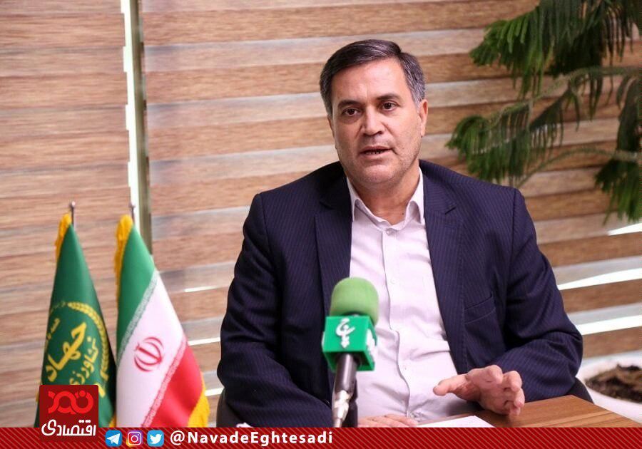 ارز مورد نیاز برای ترخیص نهاده‌ها از گمرک تامین نشده است