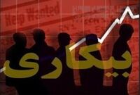 ۳۰ تا ۵۰ درصد از خانوارهای فقیر حتی یک شاغل هم ندارند