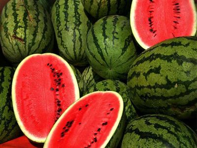 رشد ۲۹ درصدی صادرات هندوانه در خشک‌ترین سال