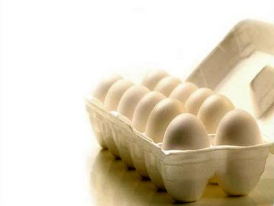 قیمت تخم مرغ در میادین و بازار چقدر است؟