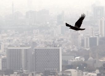 مدارس تهران غیرحضوری شد