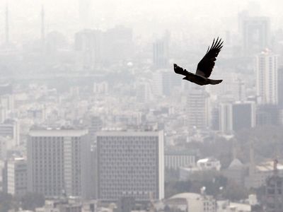 مدارس تهران غیرحضوری شد