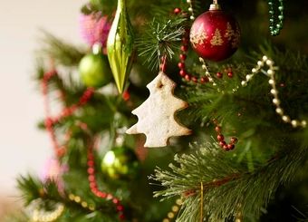 درخت کریسمس چند؟