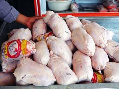 قیمت مرغ با ارز ۴۲۰۰ تومانی باید ۱۲ هزار تومان می‌شد