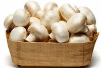 ۷ استان، ۷۴ درصد تولید قارچ کشور را تولید می‌کنند