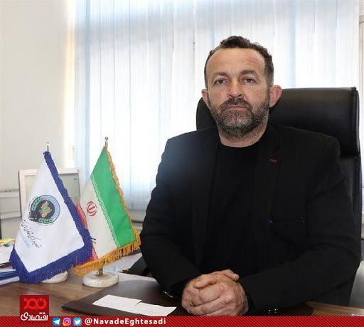 صادرات ۴-۳ هزار دام تاثیری بر قیمت گوشت ندارد