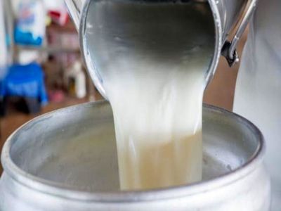  افزایش ۷ برابری قیمت شیر بعد از حذف دلار ۴۲۰۰ تومانی نادرست است