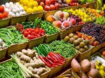 اتفاق عجیب در بخش کشاورزی/طی ۲۳ سال اخیر جمعیت ایران ۳۳ درصد و واردات بخش کشاورزی ۱۱۰درصد رشد کرده است