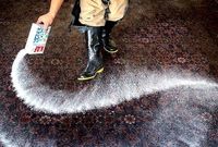 نرخ قالیشویی اعلام شد