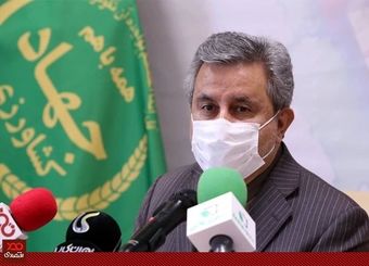 خرید تضمینی گندم امسال هم ۴.۵ میلیون تن است/ میزان بارندگی در کشور ۳۰ درصد کاهش یافته