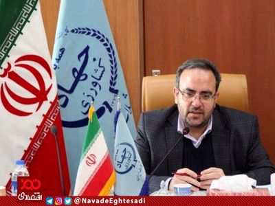 مردم پس از هدفمندی یارانه‌ها، ماهی را جایگزین گوشت و مرغ کنند