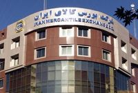  خریداری باغ و مسکن از سوی شرکت بورس کالا!