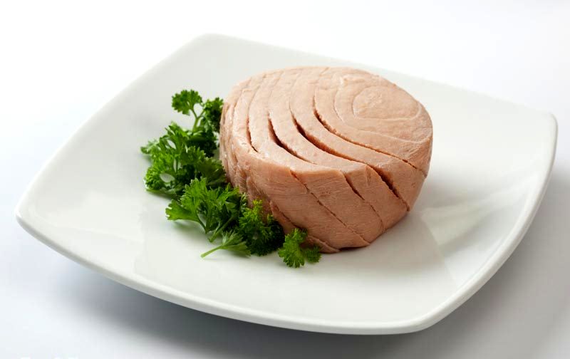 رشد ۹۷ درصدی صادرات کنسرو ماهی