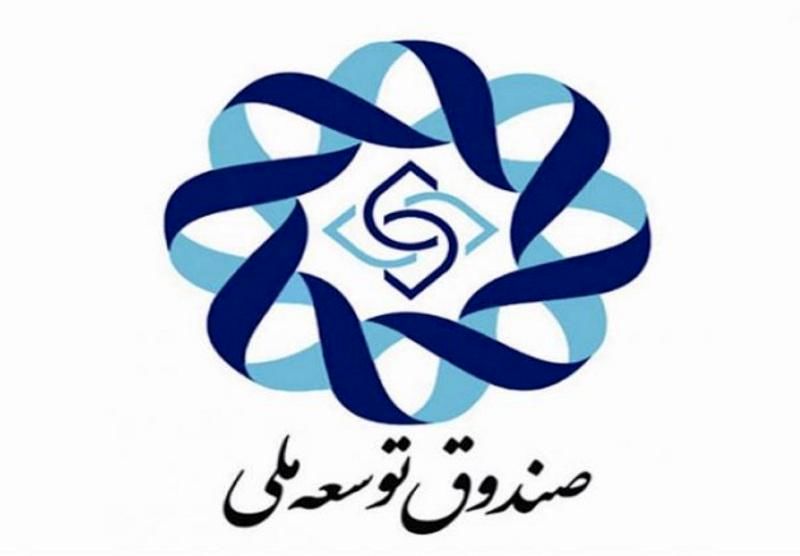 ۹۱ درصد از تسهیلات صندوق توسعه ملی به ۵ صنعت پرداخت شده است