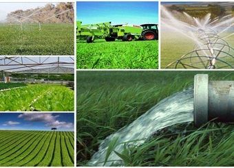 چرا وزارت جهاد کشاورزی روی کاشت برنج در وسط بیابان‌ها نظارتی نمی‌کند؟
