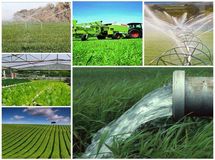 چرا وزارت جهاد کشاورزی روی کاشت برنج در وسط بیابان‌ها نظارتی نمی‌کند؟