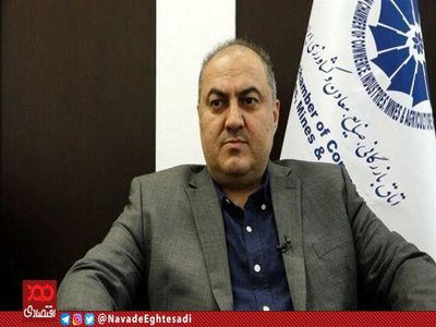  با وجود ارز ترجیحی تولید داخلی صرفه نداشت/ ارز ترجیحی فضای سواستفاده و رانت را فراهم می‌کرد