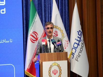 دکتر فرزین: نظام بانکی، جدا از نظام اقتصادی کشور نیست