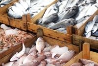  رشد ۵۷ درصدی صادرات شیلات ایران در سال ۱۴۰۱