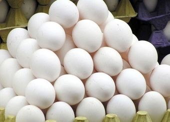 دولت باید به تخم مرغ مشوق صادراتی اختصاص دهد