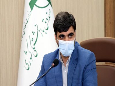 بازار ملک در ایران در انحصار شبکه بنگاه‌هاست