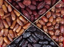 ایران سومین تولیدکننده و دومین صادرکننده بزرگ خرما در جهان 