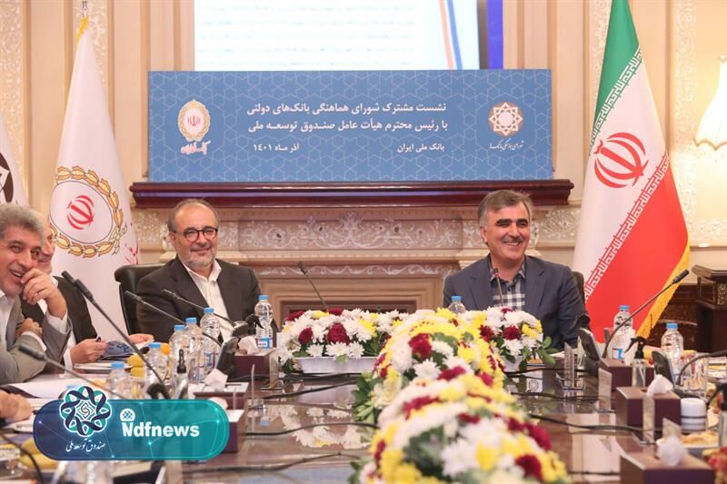 سرمایه‌گذاری؛ مأموریت اصلی صندوقهای ثروت ملی در دنیا / تشکر از تلاشهای بانک‌های فعال در بازگشت تسهیلات صندوق توسعه ملی