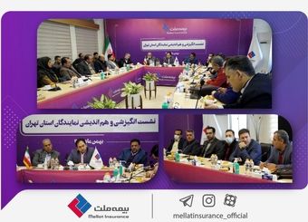 توسعه خرده‌فروشی و توجه به سودآوری الویت بنیادین بیمه ملت