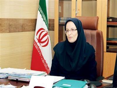 پیش بینی 100 هزار میلیارد تومان درآمد از محل مولدسازی غیر کارشناسی است