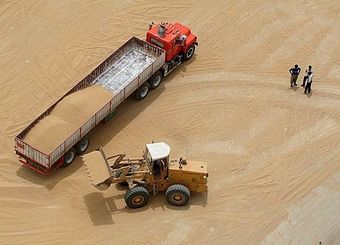 صرفه‌جویی ۴۸ هزار میلیارد تومانی در واردات گندم