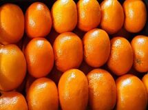 از ۷۰۰ هزار تن پرتقال مازاد فقط ۳۰۰ هزار تن آن صادر می‌شود